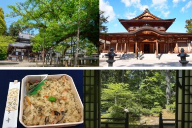 【広島駅新幹線口・アストラムライン古市駅発着/日帰り】お寺で精進料理≪岡山編≫ ~岡山誕生寺といちご狩り~1